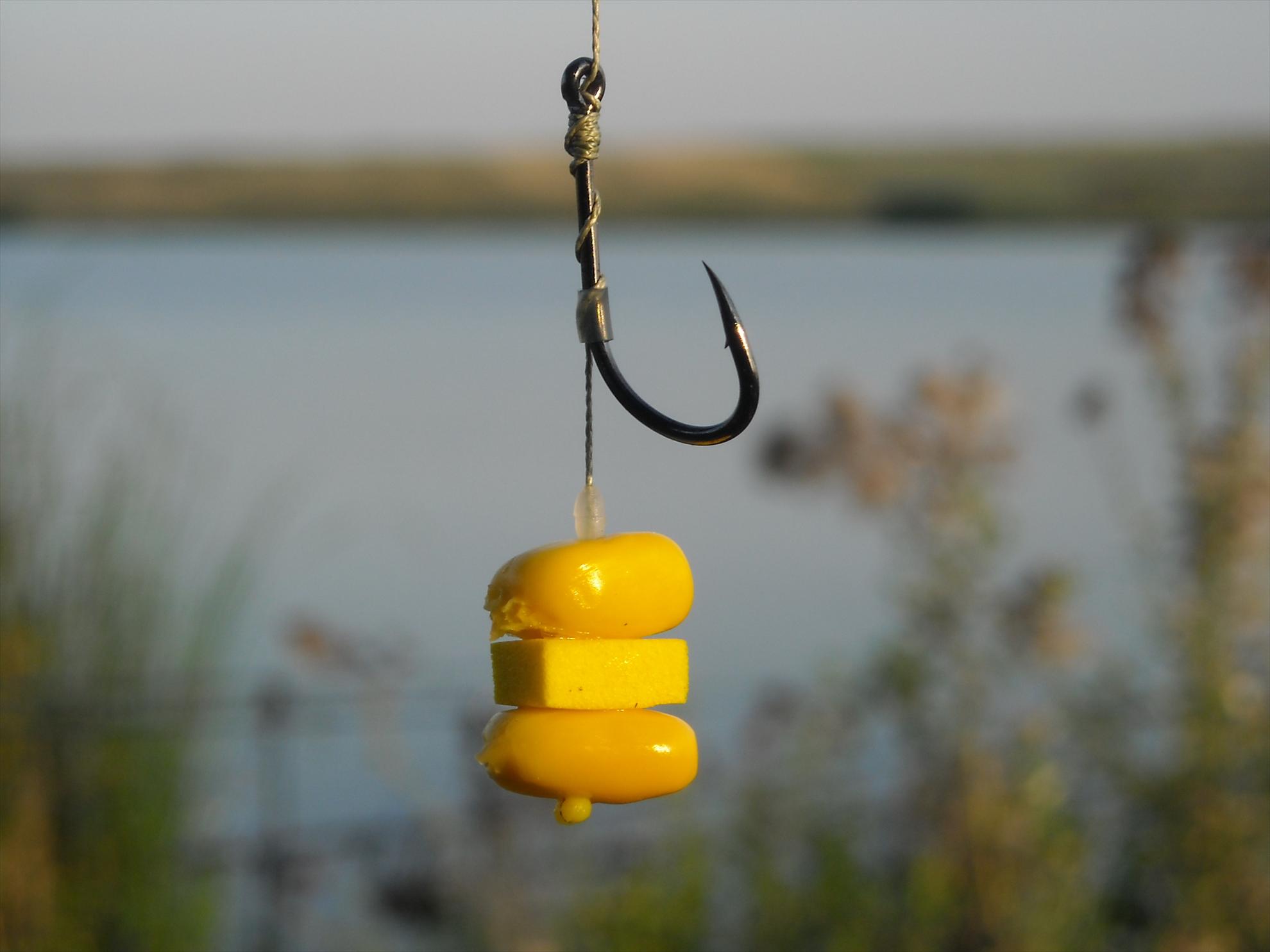 Cupa Romaniei - Hobaia 2010 - dscn6771.jpg